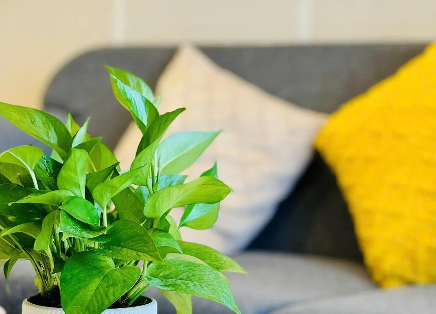 Appartement Soho Apt - Luxury Stay, Next To Benthanh Market Ho Chi Minh-stad